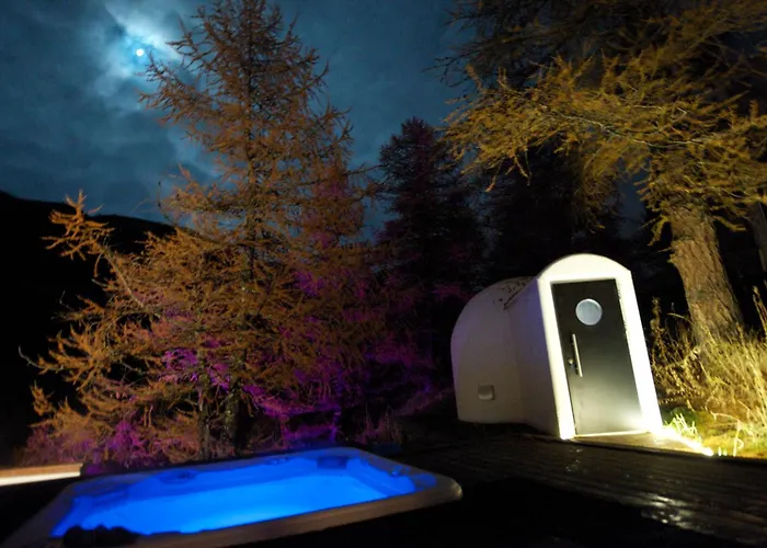 Les Neiges D'antan Hotel