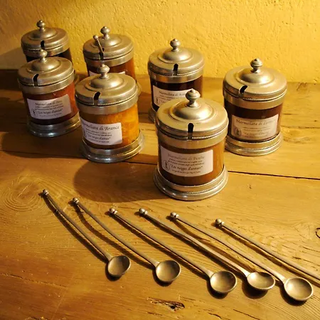 Ξενοδοχείο Les Neiges D'antan Breuil-Cervinia