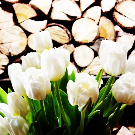 Les Neiges D'antan 4*