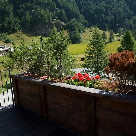 Les Neiges D'antan מלון