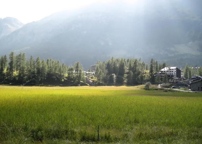 Les Neiges D'antan 4*